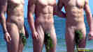 Ripped and Stripped 2015